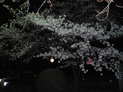 20120410_02.jpg