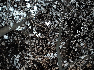 20120410_03.jpg