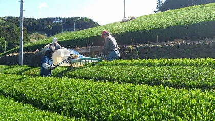 20120508_03.jpg