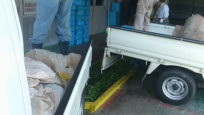 20120508_05.jpg