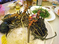20121107_09.jpg