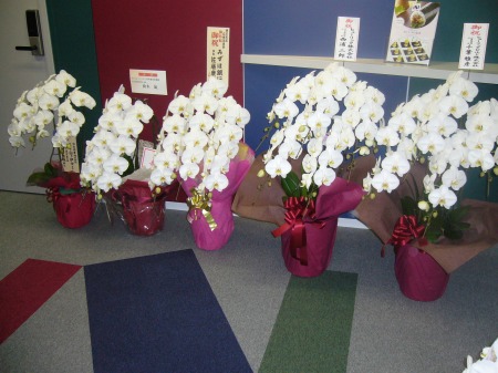 20140326_10.jpg