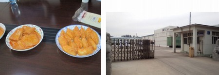 20140809_02.jpg