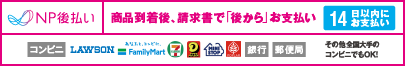 NP後払い